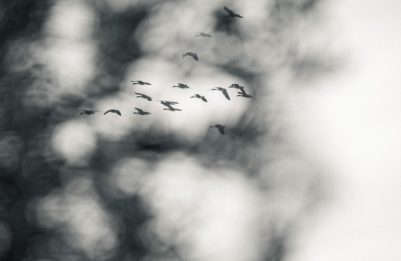 _K5A9381